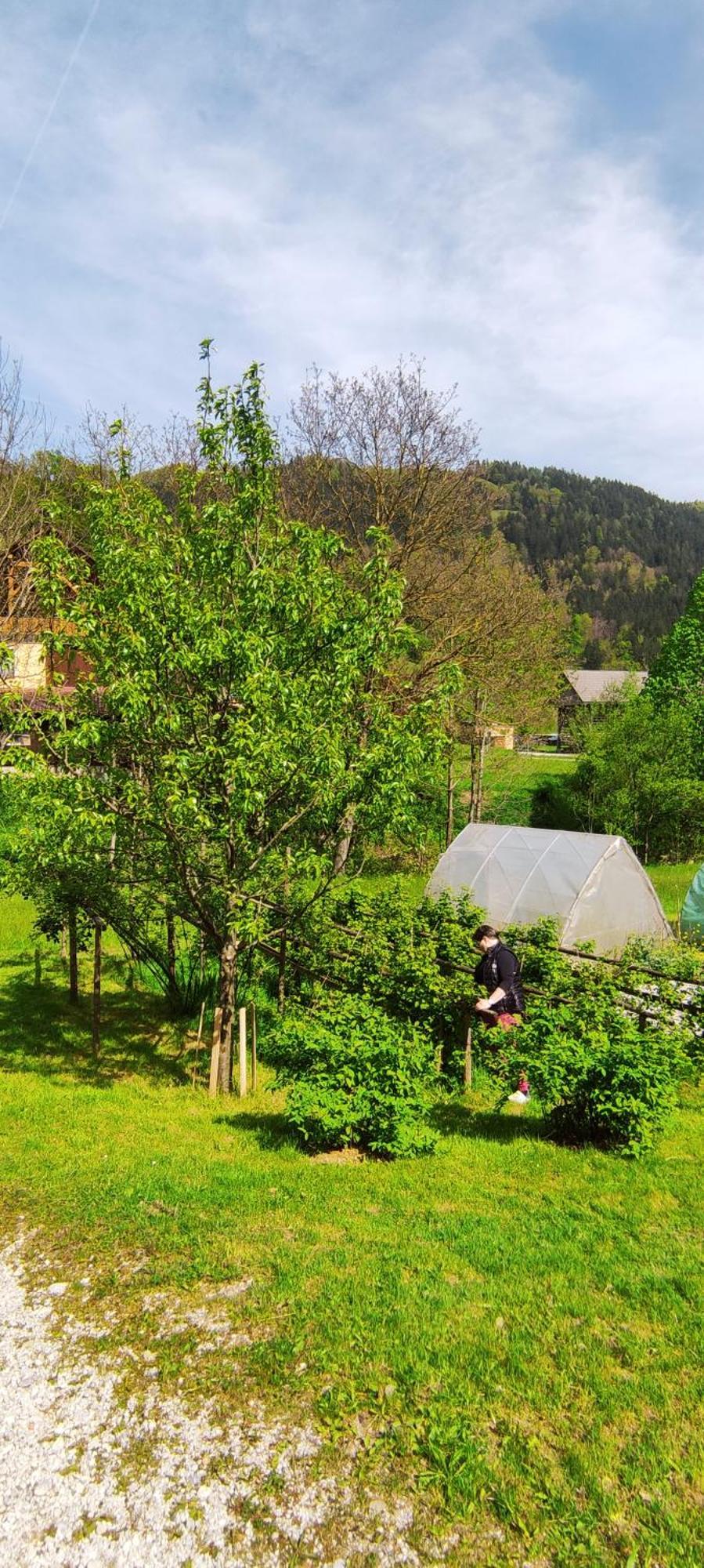 Domacija Markc Zelezniki Extérieur photo