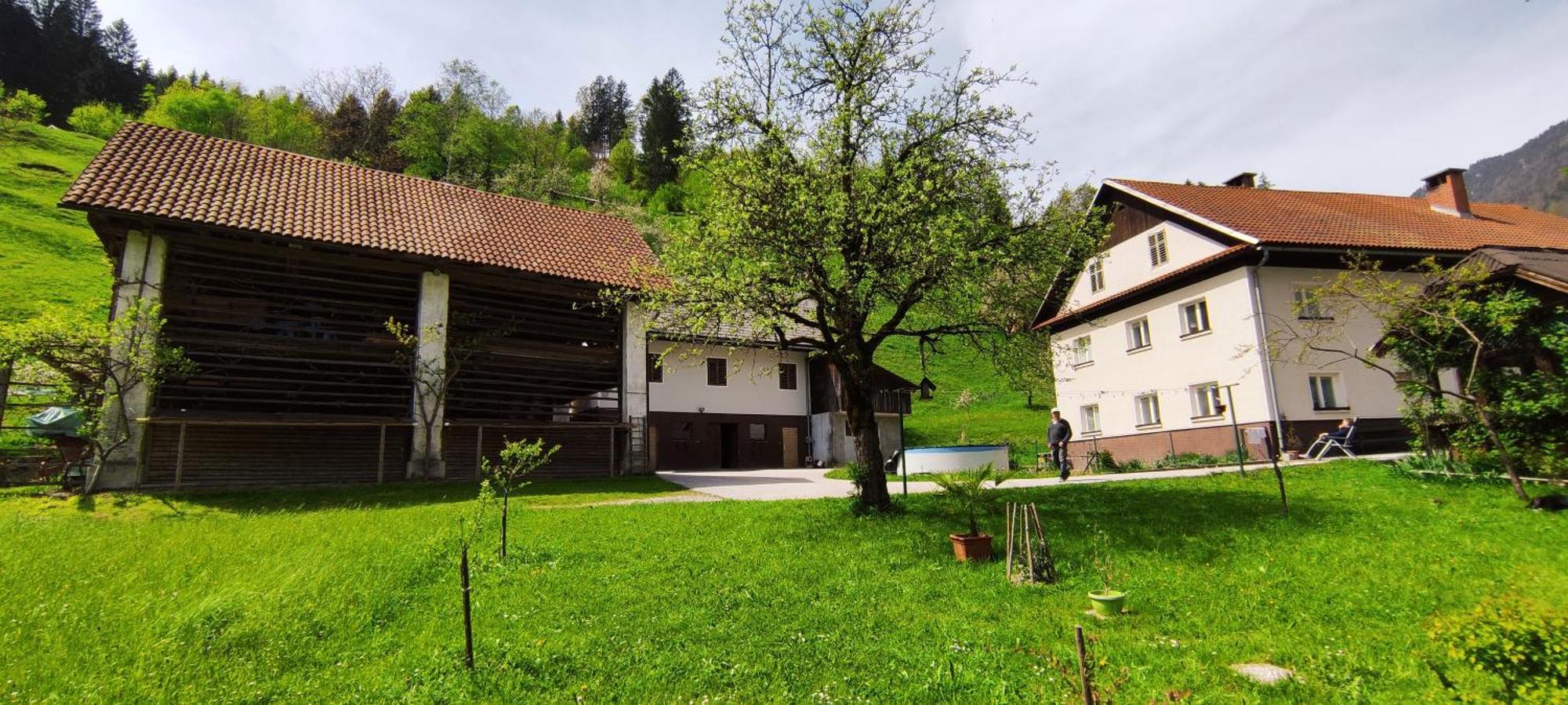 Domacija Markc Zelezniki Extérieur photo